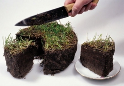 Про межевание - что это и как защитить свои права.