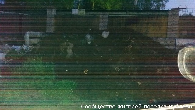 "Жилищник" уличили в вывозе мусора в лес