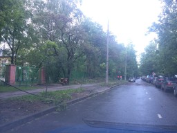 В Рублево прошел ураган. Повалены деревья, оборваны провода. В Москве десятки погибших.