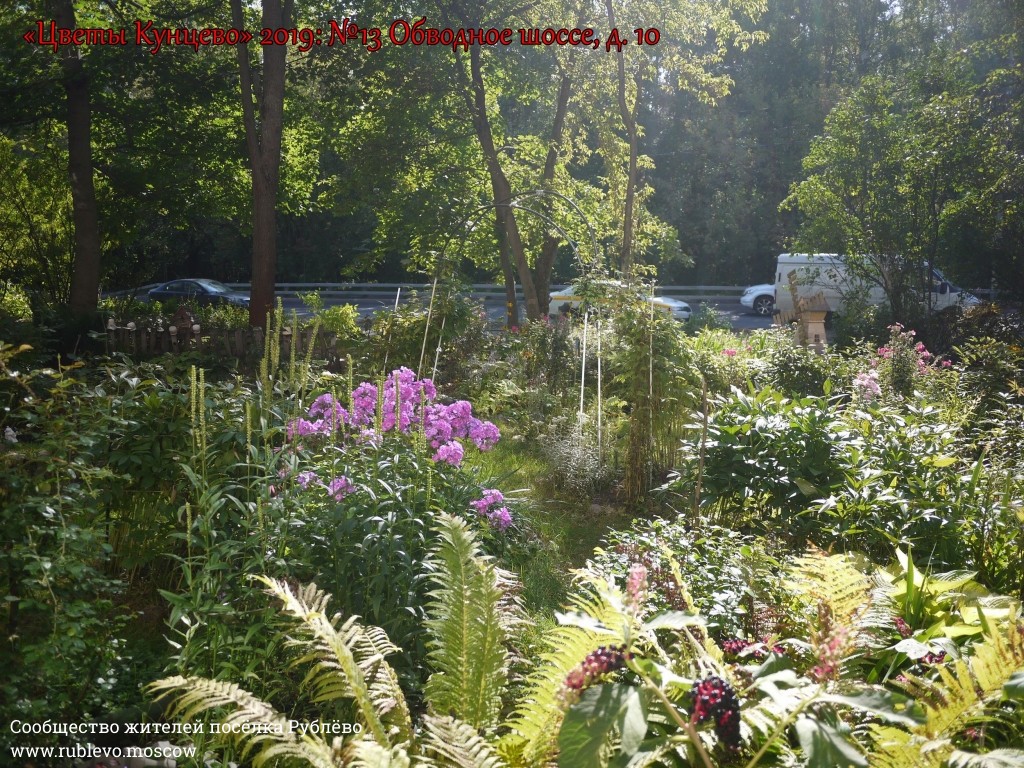 В Кунцево впервые прошёл конкурс палисадников "Цветы Кунцево" 1