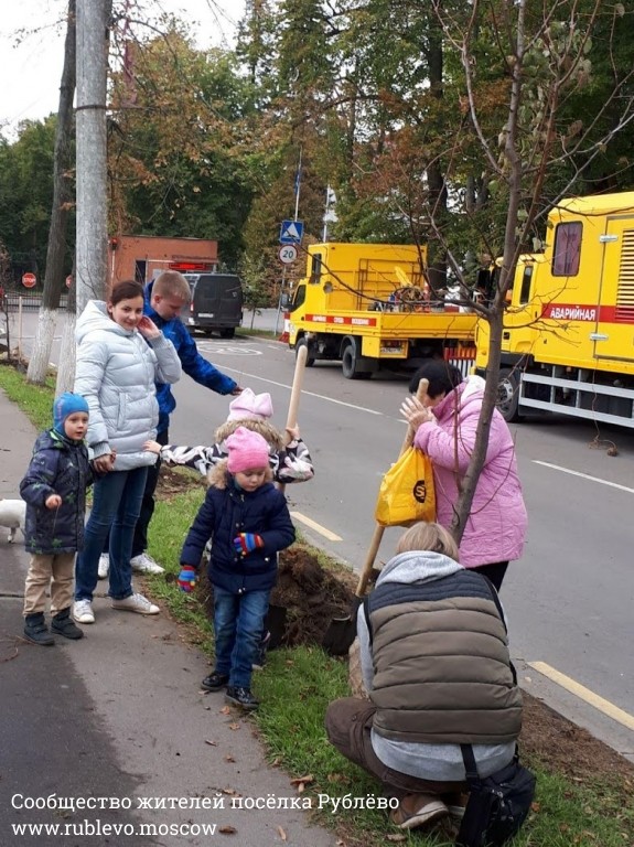 Жители Рублёво провели субботник по посадке лип! 19