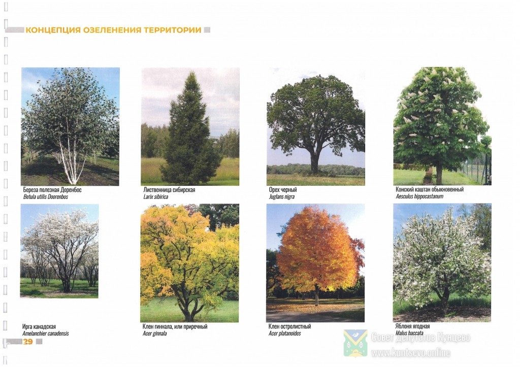 Концепция благоустройства территории у храма &laquo;Неувядаемый Цвет&raquo; в Рублево от 02.2020 14