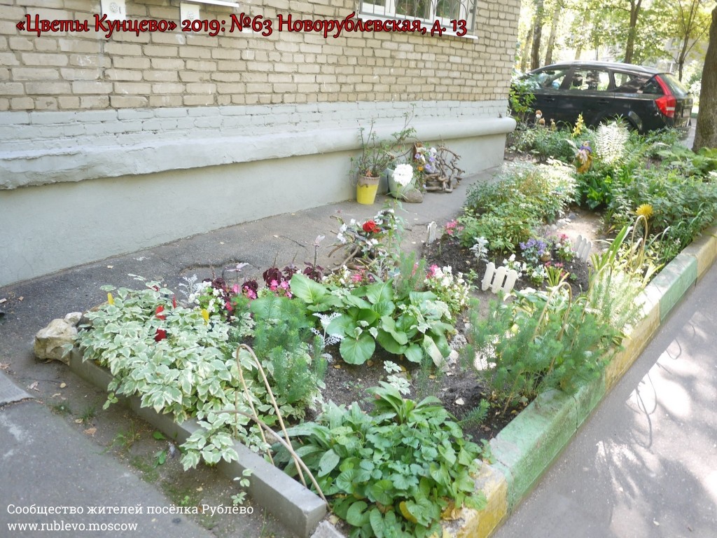 В Кунцево впервые прошёл конкурс палисадников "Цветы Кунцево" 6