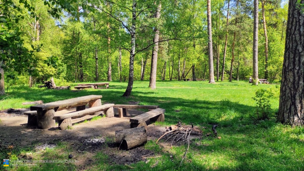 В Рублево состоялся очередной субботник по уборке леса 11 В Рублево состоялся очередной субботник по уборке леса 11