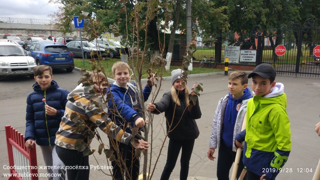 Жители Рублёво провели субботник по посадке лип! 32