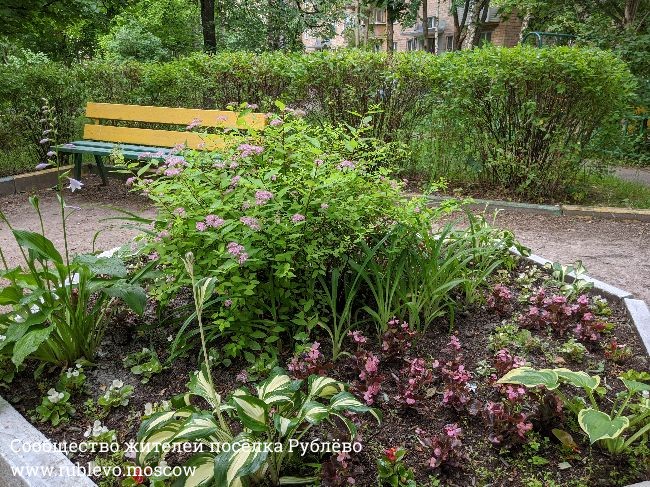 Жители Рублево рассказывают о традиции создания цветников в поселке 0 Жители Рублево рассказывают о традиции создания цветников в поселке 0