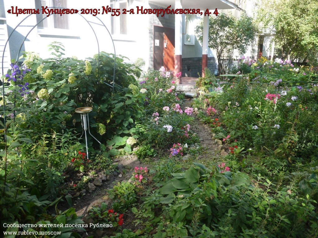 В Кунцево впервые прошёл конкурс палисадников "Цветы Кунцево" 3