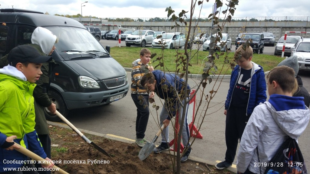 Жители Рублёво провели субботник по посадке лип! 31