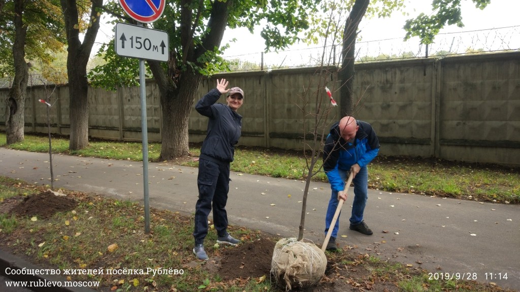 Жители Рублёво провели субботник по посадке лип! 11