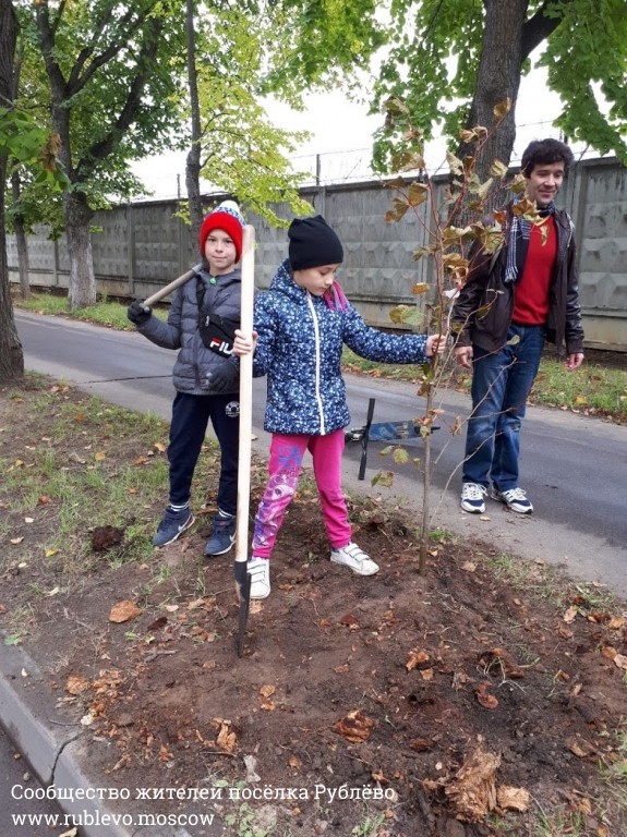 Жители Рублёво провели субботник по посадке лип! 6
