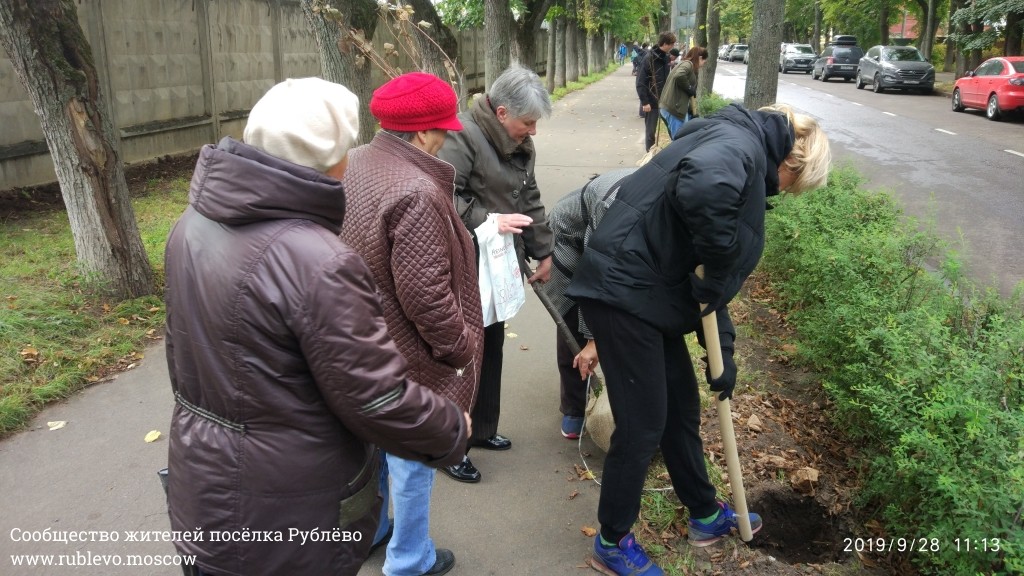 Жители Рублёво провели субботник по посадке лип! 8