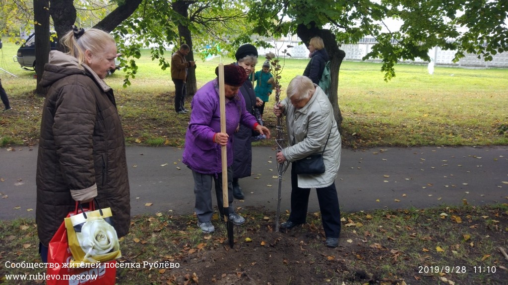 Жители Рублёво провели субботник по посадке лип! 1