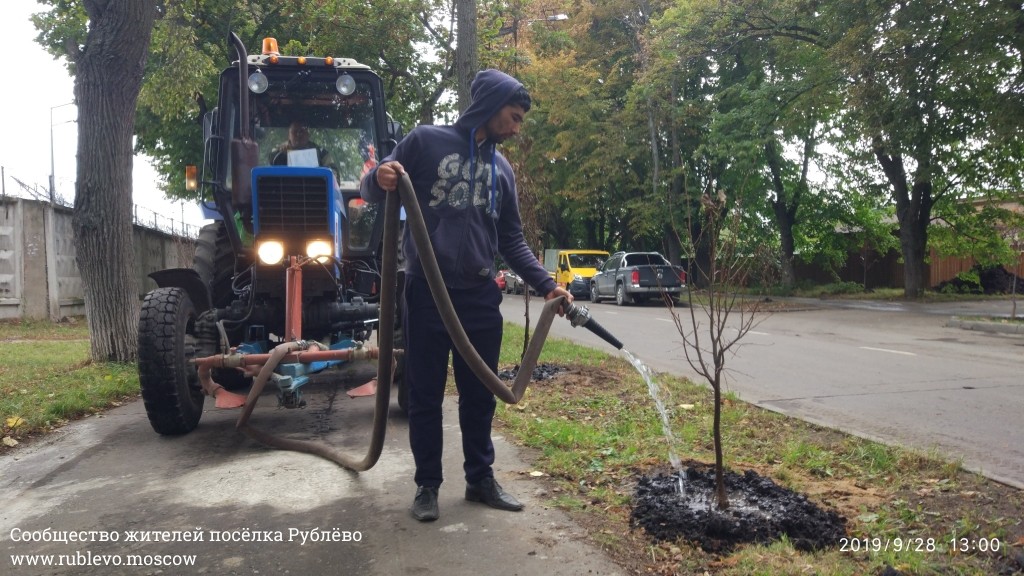 Жители Рублёво провели субботник по посадке лип! 30