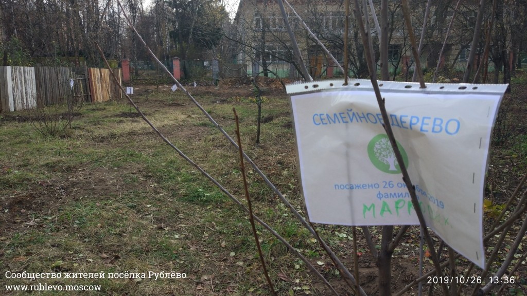 В Рублево впервые прошла акция "Семейное дерево" 6