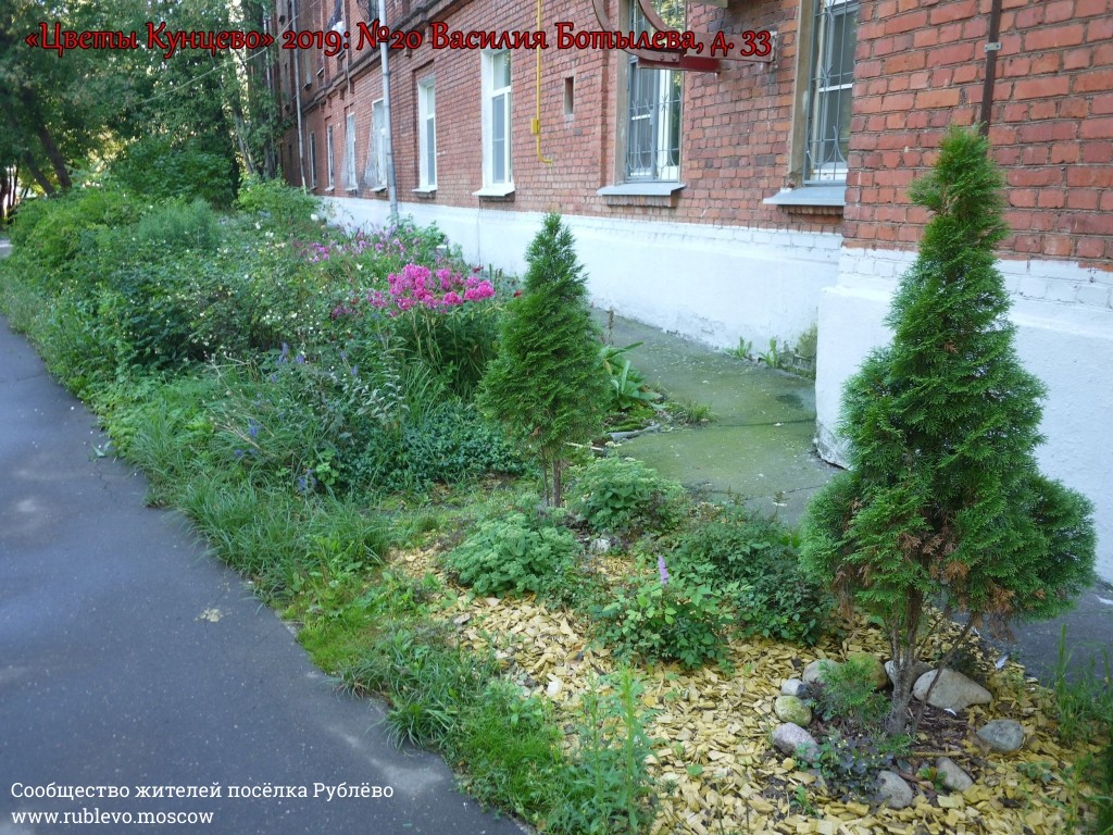 В Кунцево впервые прошёл конкурс палисадников "Цветы Кунцево" 4