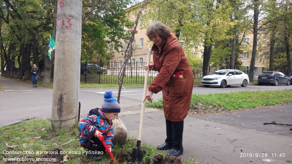 Жители Рублёво провели субботник по посадке лип! 20