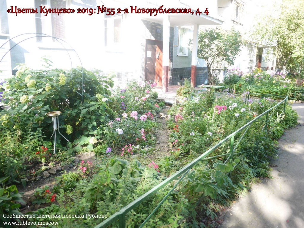 В Кунцево впервые прошёл конкурс палисадников "Цветы Кунцево" 2