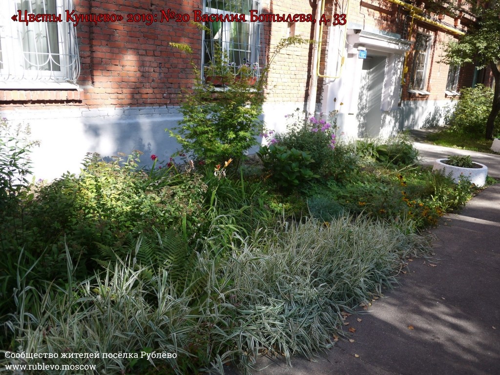 В Кунцево впервые прошёл конкурс палисадников "Цветы Кунцево" 5