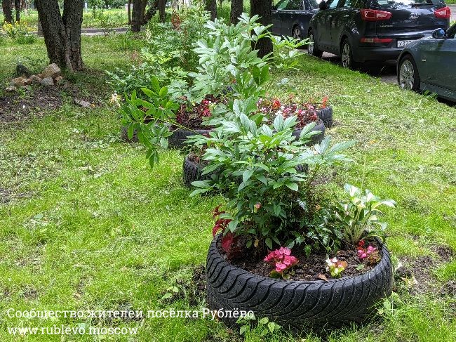 Жители Рублево рассказывают о традиции создания цветников в поселке 1 Жители Рублево рассказывают о традиции создания цветников в поселке 1