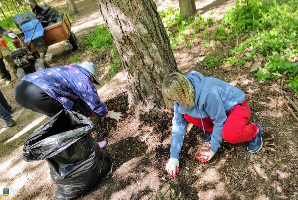 В Рублево состоялся очередной субботник по уборке леса 10 В Рублево состоялся очередной субботник по уборке леса 10