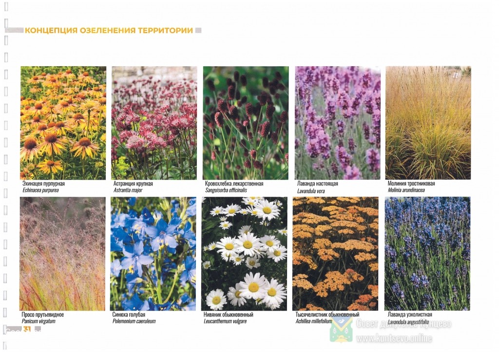 Концепция благоустройства территории у храма &laquo;Неувядаемый Цвет&raquo; в Рублево от 02.2020 15