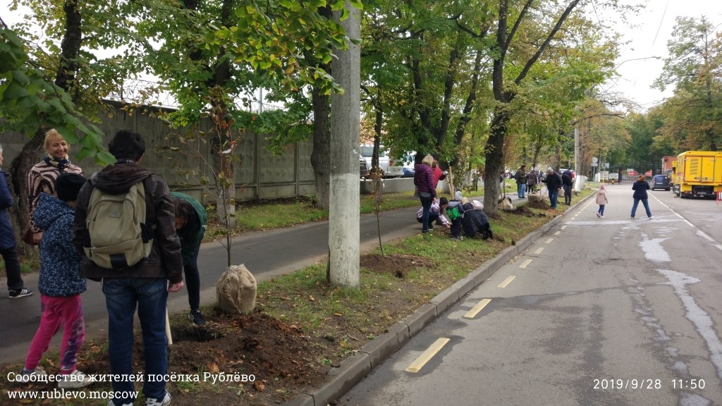 Жители Рублёво провели субботник по посадке лип! 23