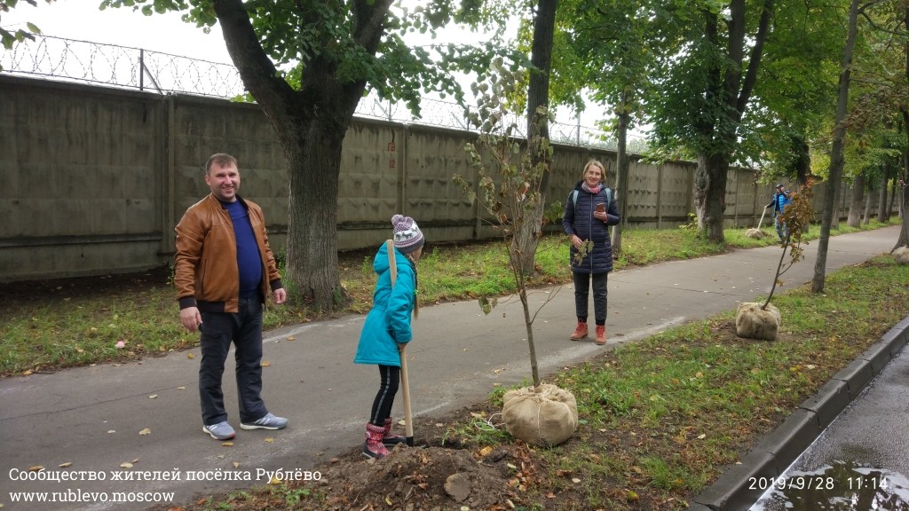 Жители Рублёво провели субботник по посадке лип! 13
