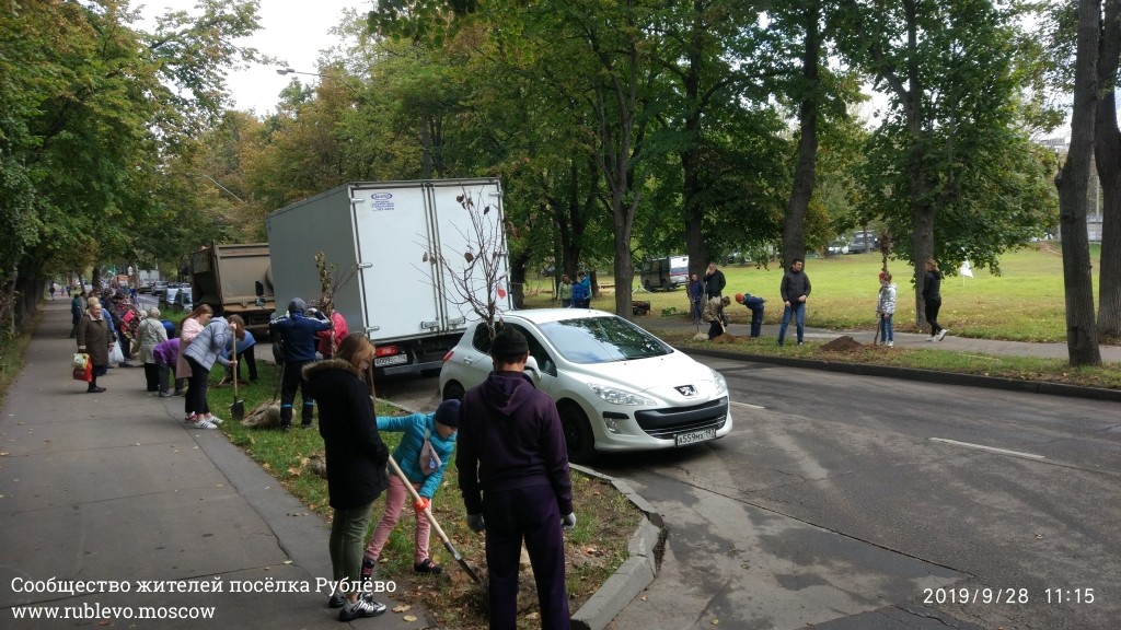 Жители Рублёво провели субботник по посадке лип! 16