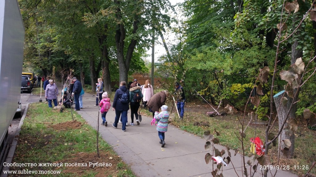 Жители Рублёво провели субботник по посадке лип! 17
