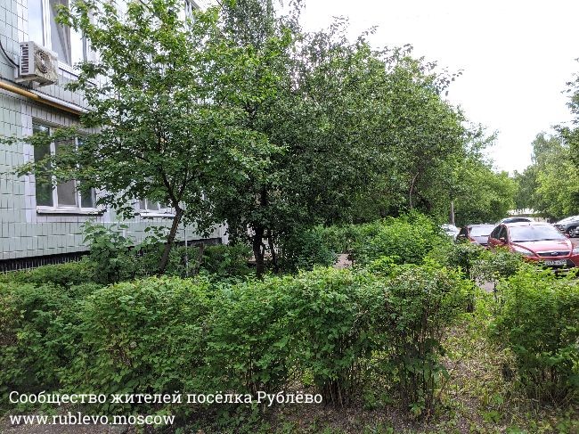 Жители Рублево рассказывают о традиции создания цветников в поселке 2 Жители Рублево рассказывают о традиции создания цветников в поселке 2