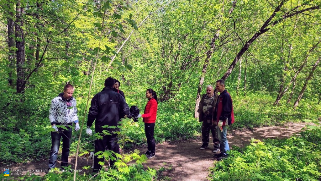В Рублево состоялся очередной субботник по уборке леса 9 В Рублево состоялся очередной субботник по уборке леса 9