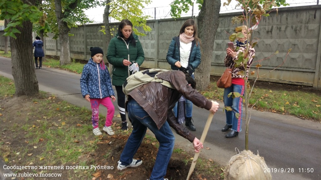 Жители Рублёво провели субботник по посадке лип! 24