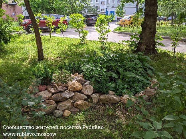 Жители Рублево рассказывают о традиции создания цветников в поселке 6 Жители Рублево рассказывают о традиции создания цветников в поселке 6