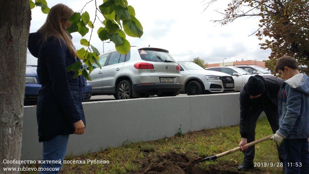 Жители Рублёво провели субботник по посадке лип! 27