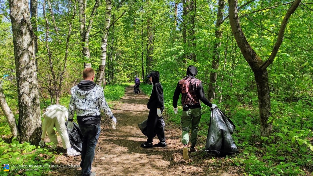 В Рублево состоялся очередной субботник по уборке леса 1 В Рублево состоялся очередной субботник по уборке леса 1