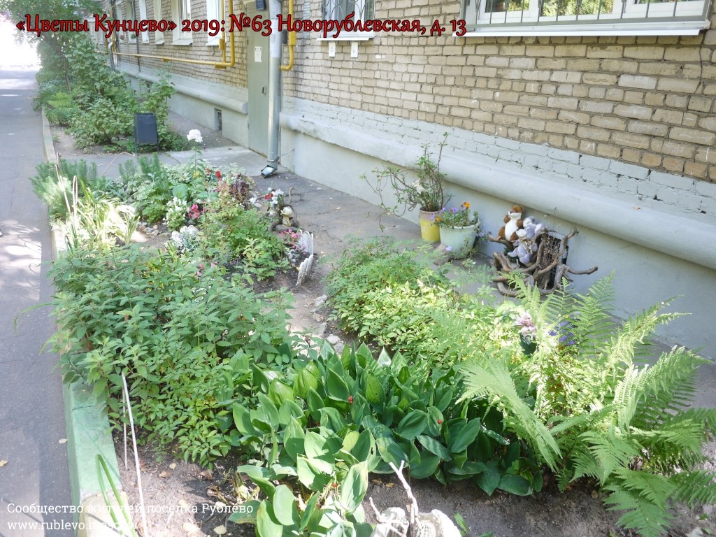 В Кунцево впервые прошёл конкурс палисадников "Цветы Кунцево" 7