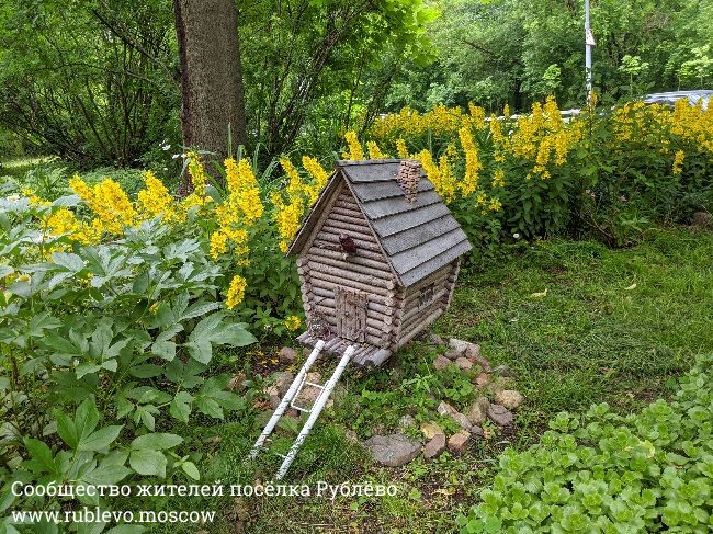 Жители Рублево рассказывают о традиции создания цветников в поселке 5 Жители Рублево рассказывают о традиции создания цветников в поселке 5