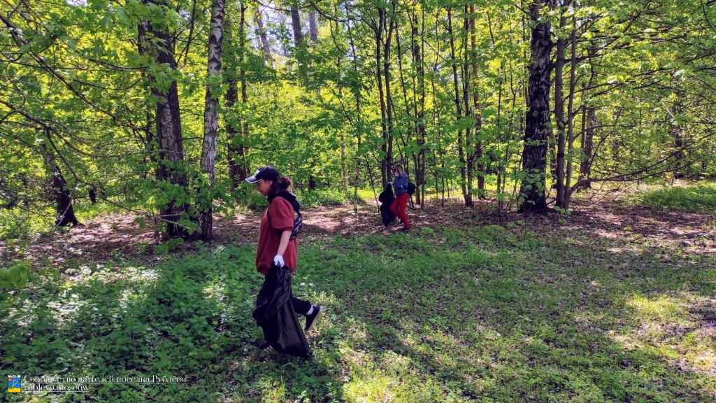 В Рублево состоялся очередной субботник по уборке леса 2 В Рублево состоялся очередной субботник по уборке леса 2