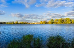 Деятели культуры против застройки поймы Москвы-реки