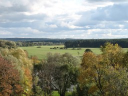 Лохин остров