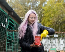Поездка в муниципальный приют для собак